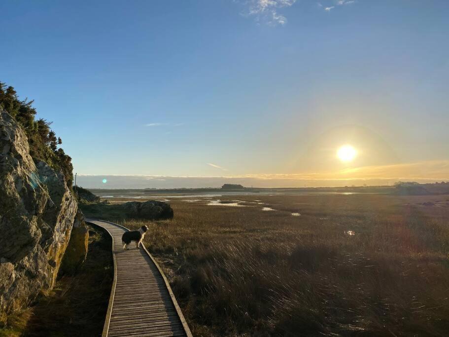 Entire Guest Suite In Four Mile Bridge, Rhoscolyn Valley Eksteriør billede