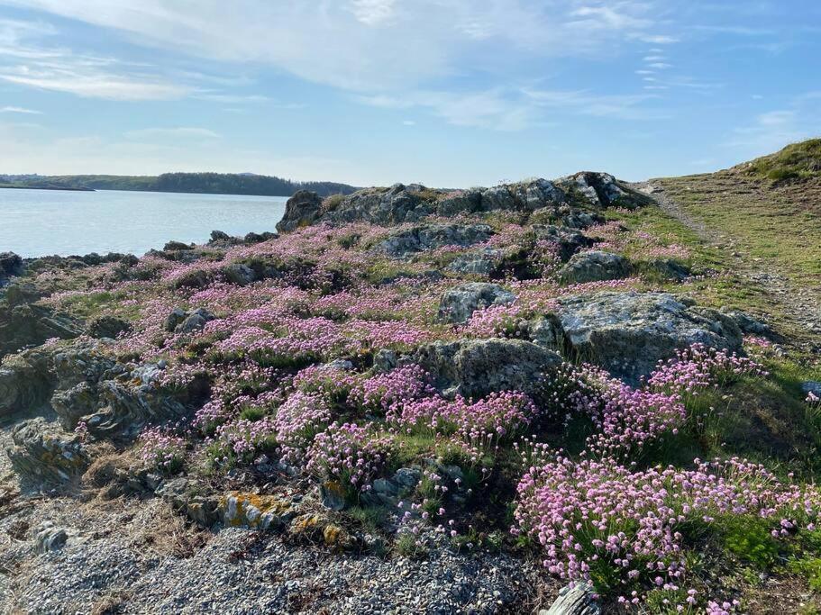 Entire Guest Suite In Four Mile Bridge, Rhoscolyn Valley Eksteriør billede